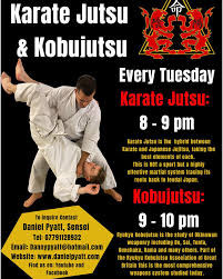 Image result for Jutsu Karate Association, Cobham, Surrey