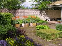 Image result for Priona Tuinen