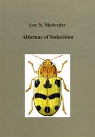 Attēlu rezultāti vaicājumam “Alticinae”