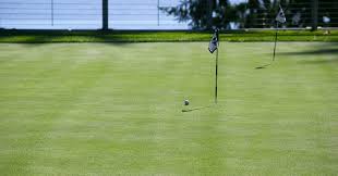 Image result for Olympia Gc