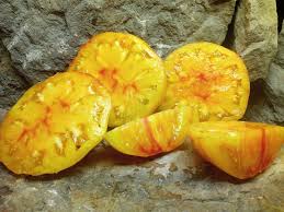 Afbeeldingsresultaat voor blushing yellow tomato