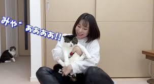 猫次郎o에 대한 이미지 검색결과