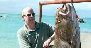 Image result for Argyrosomus regius