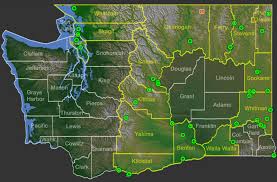 Attēlu rezultāti vaicājumam “Draba nemorosa fruit”