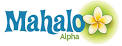 Introduction to Mahalo, a new human-powered search directory