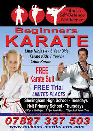 Image result for Norfolk Karate