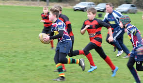 Image result for Caldicot Junior  & Mini Rugby Club