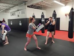 Image result for Full Element Mixed Martial Arts