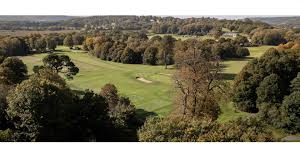Image result for Betchworth Park Golf Club