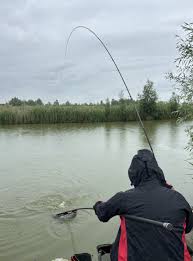 Image result for DRAYTON ANGLING CLUB