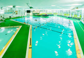 Image result for Beau Sejour Barracudas Swim Squad