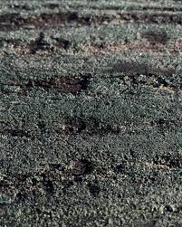 Attēlu rezultāti vaicājumam “Trapeliopsis flexuosa”