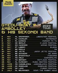 Image result for buaaambulancia