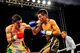 Image result for Enfield T'ai Tsung Chinese Boxing