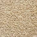 Top Carpeting in Ventura County | Flooring Ventura