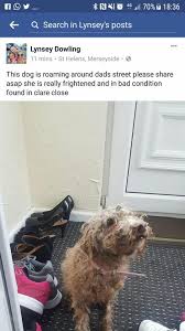 Image result for Portico & Grange Park Amateur Rugby League Football Club