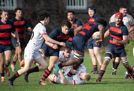Image result for St Mary's Old Boys Rugby Union Football Club