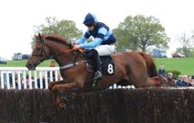 Image result for Chaddesley Corbett Sports Club