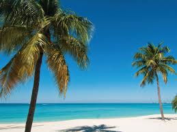 Resultado de imagen para cayman island