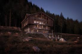 Image result for Steinnelke