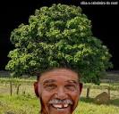 cabeleira do zeze by ~edmeneghel on deviantART