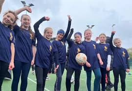 Image result for Shrivenham Netball Club