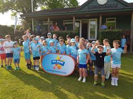 Image result for Aston Ingham Cricket Club