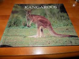 Image result for Reading Kangaroos