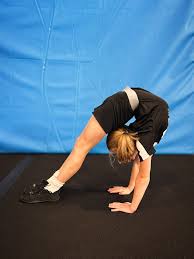 Image result for Artemis Bracknell Cheer