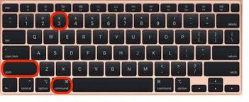 Image result for print screen