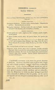 Attēlu rezultāti vaicājumam “Diderma globosum sessile”