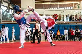 Image result for ENGLISH INTERNATIONAL ALLSTYLES TAEKWONDO