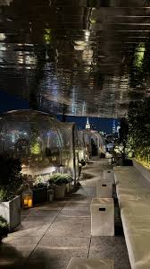 Attēlu rezultāti vaicājumam “Populus x lettland”