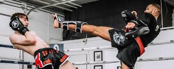 Image result for Vipers Thai/Kickboxing School