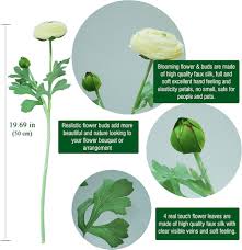 Attēlu rezultāti vaicājumam “Ranunculus lanuginosus bud”