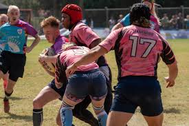 Image result for Bingham Rugby Union Football Club