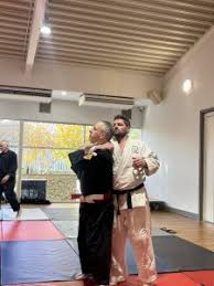 Image result for British Karate Shunen Jutsu