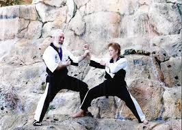 Image result for Pyramid martial arts