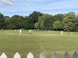 Image result for Effingham Cricket Club