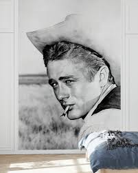 Image result for james dean