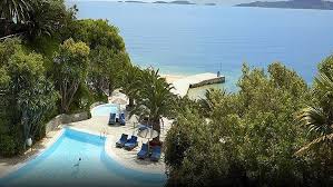 Image result for Palace Eagles Octopush Club