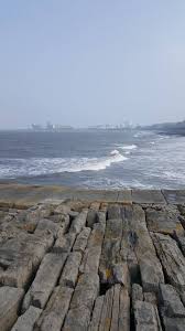 Image result for Newhaven Deep Sea Anglers