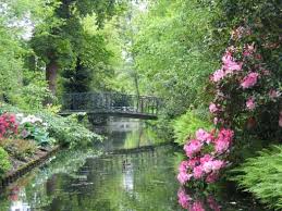 Image result for Arboretum Trompenburg