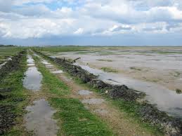 Image result for Frinton On Sea Cc