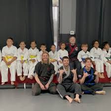 Image result for America's Best Karate