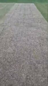 Image result for Old Woking Cricket Club