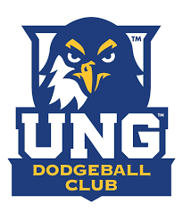 Image result for York University Dodgeball Club