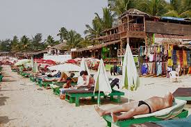 Image result for goa beaches