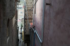 Image result for selvatici tehron