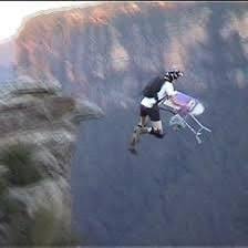 Image result for extreme ironing